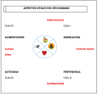 aspectos-vitales