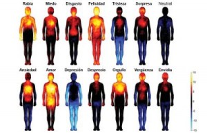 emociones-cuerpo-e1438298552443