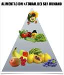 Alimentacion Natural