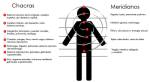 Chakras y Meridianos
