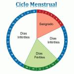 Cliclo Menstrual