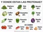 Donde estan las Proteinas