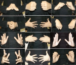 Ejercicios Tunel Carpiano