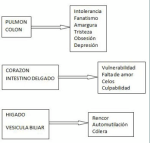Estados de Animo, Causas Emocionales