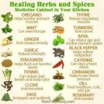 Hierbas y Esecias Sanadoras