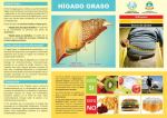 Higado Graso