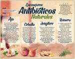 Los Mejores Antibioticos Naturales