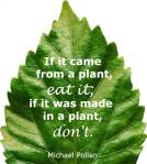 Si viene de una Planta Comelo