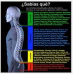 Vertebras Desalineadas