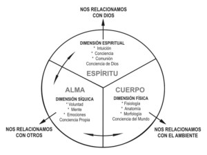 desarrollo_integral1