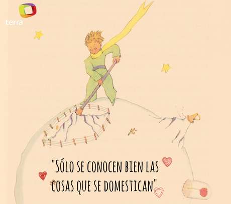 principito5memeterra