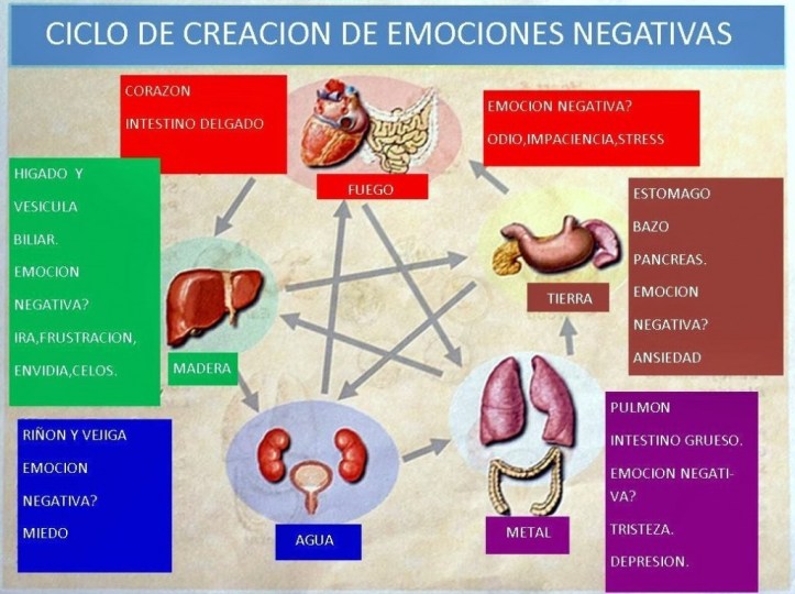 Emociones Negativas