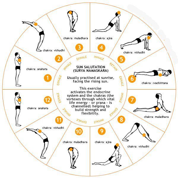 Sun Salutation