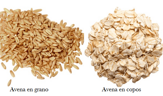 Avena