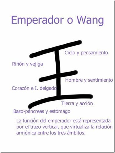 Ideograma Wang, emperador explicado con sus respectivos órganos_thumb[2]