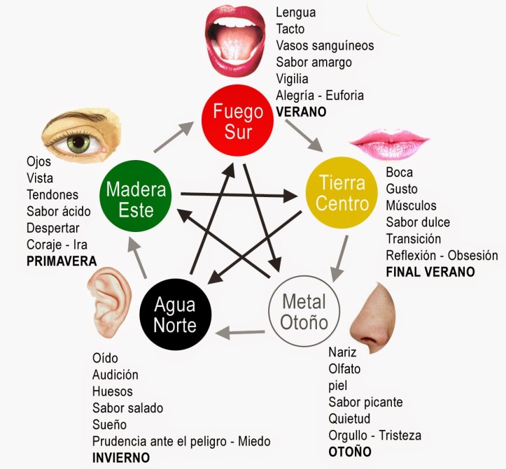 Organos y sabores